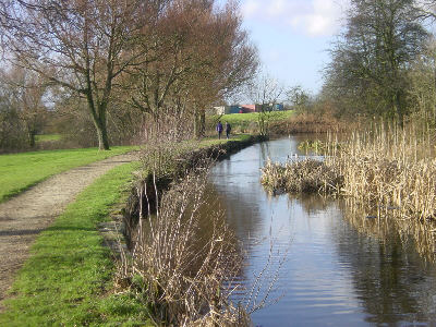 Fairbottom Branch Canal