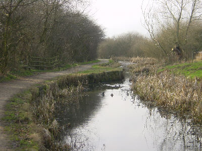 Fairbottom Branch Canal