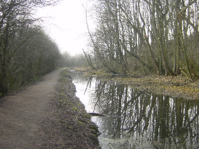 Fairbottom Branch Canal