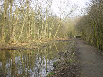 Fairbottom Branch Canal