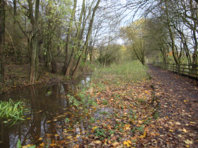 Fairbottom Branch Canal