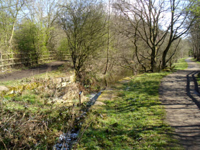 Fairbottom Branch Canal