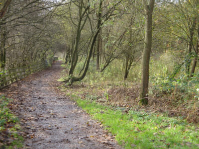 Fairbottom Branch Canal