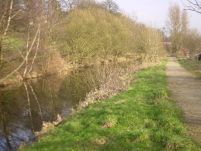 Fairbottom Branch Canal