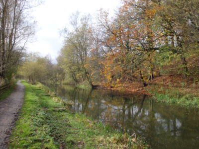 Fairbottom Branch Canal