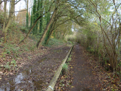 Fairbottom Branch Canal