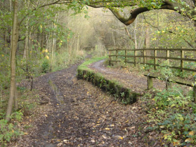 Fairbottom Branch Canal