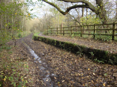 Fairbottom Branch Canal