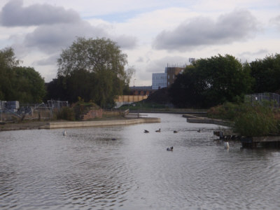 Hollinwood Canal Hollinwood Canal