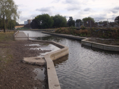 Hollinwood Canal, Droylsden