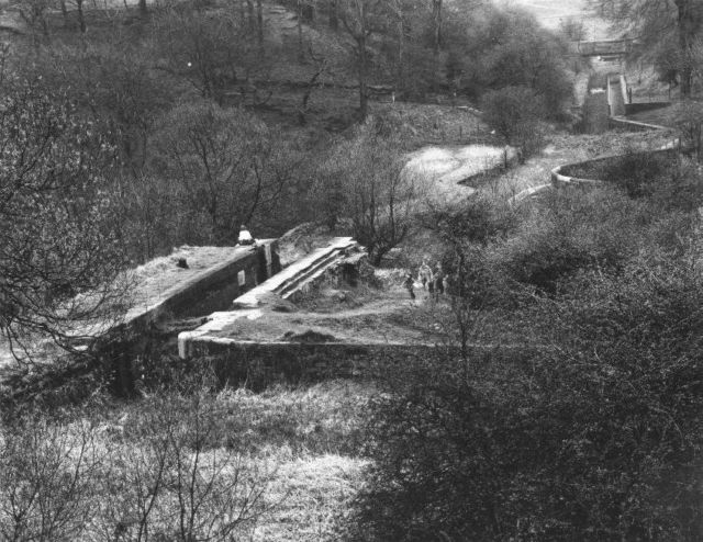 Hollinwood Branch Canal, Daisy Nook