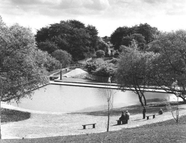 Hollinwood Branch Canal, Daisy Nook