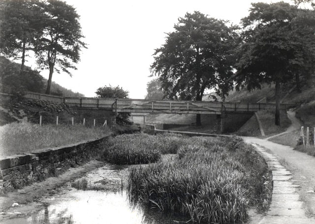 Hollinwood Branch Canal, Daisy Nook