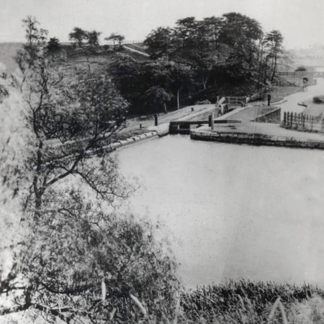 Hollinwood Branch Canal, Daisy Nook