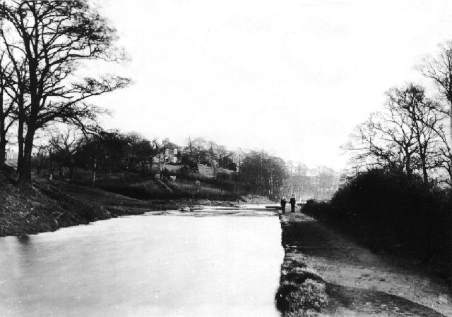 Hollinwood Branch Canal, Daisy Nook