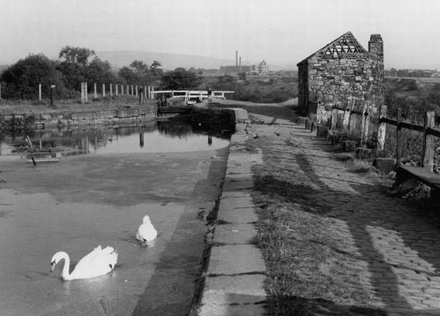 Hollinwood Branch Canal, Daisy Nook