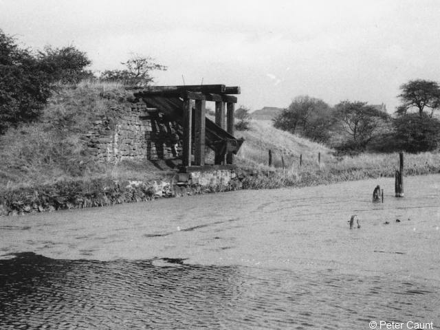 Hollinwood Branch Canal, Daisy Nook