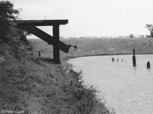 Hollinwood Branch Canal, Daisy Nook