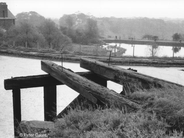 Hollinwood Branch Canal, Daisy Nook