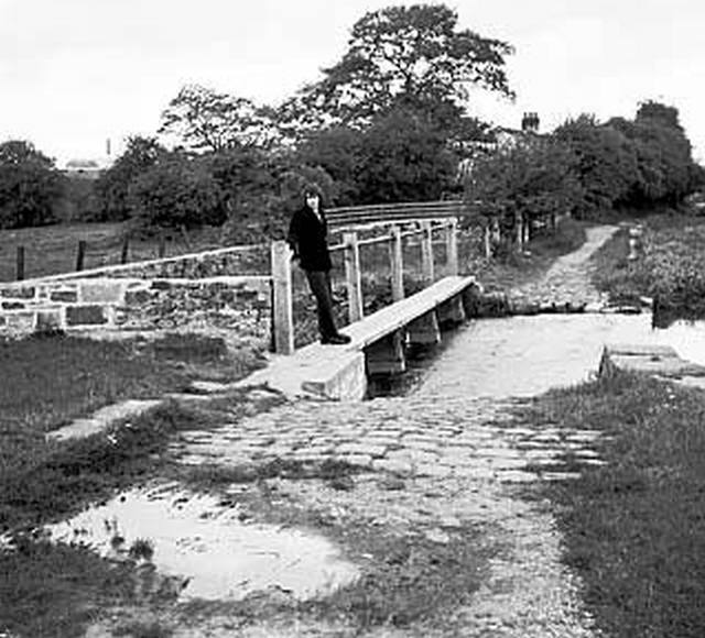 Hollinwood Branch Canal, Daisy Nook