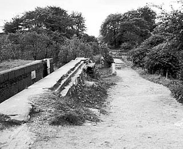 Hollinwood Branch Canal, Daisy Nook