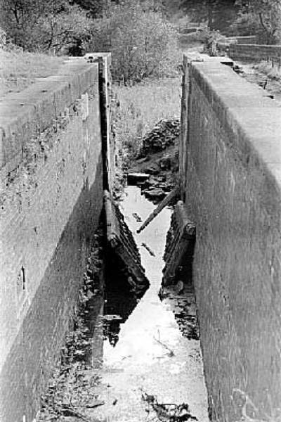 Hollinwood Branch Canal, Daisy Nook