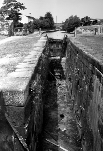 Hollinwood Branch Canal, Daisy Nook