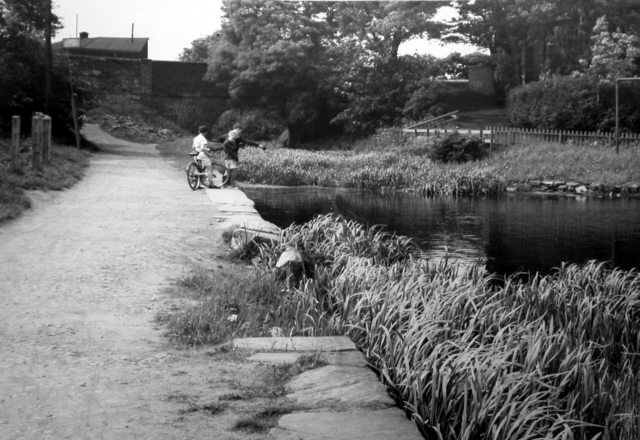 Hollinwood Branch Canal, Crime Lake