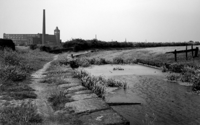 Hollinwood Branch Canal, Woodhouses