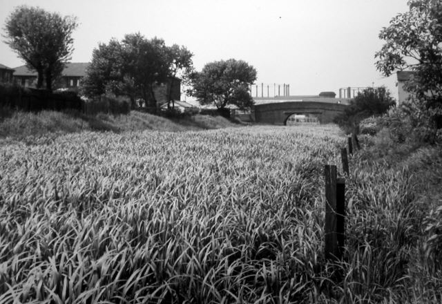 Hollinwood Branch Canal, Street Bridge