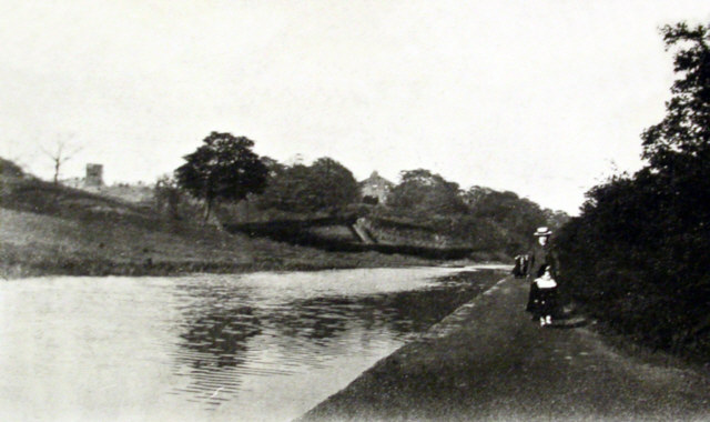 Hollinwood Branch Canal, Daisy Nook