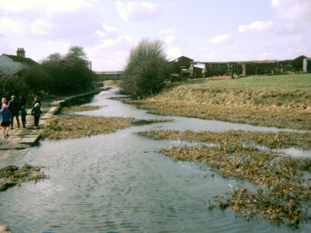 Hollinwood Branch Canal, Daisy Nook