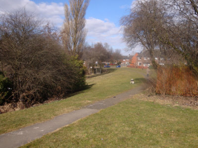 Hollinwood Canal route