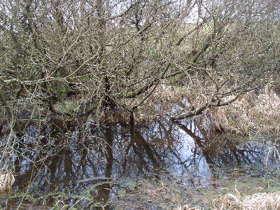 Working Party, Fairbottom Branch