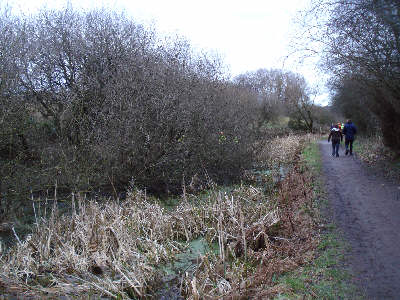 Working Party, Fairbottom Branch