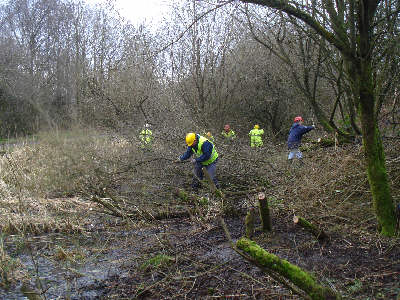 Working Party, Fairbottom Branch