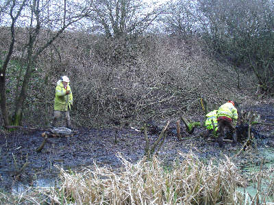 Working Party, Fairbottom Branch