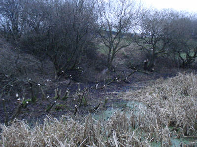 Working Party, Fairbottom Branch